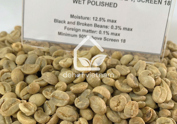 Robusta Coffee Grade 1 Screen 18, Wet Polished