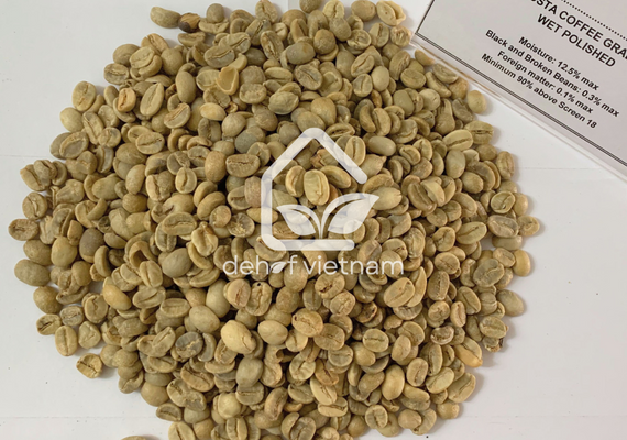 Robusta Coffee Grade 1 Screen 18, Wet Polished