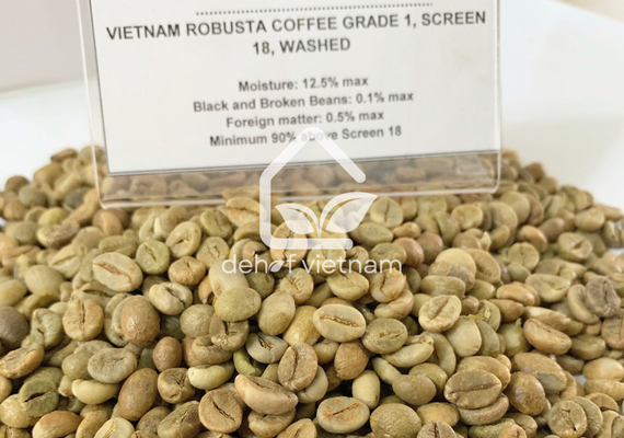 Robusta Coffee Grade 1 Screen 18, Washed Process