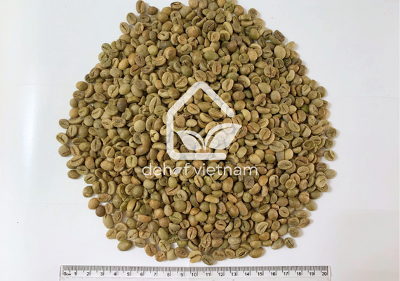 Robusta Coffee Grade 1 Screen 18, Washed Process