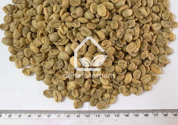 Robusta Coffee Grade 1 Screen 18, Washed Process