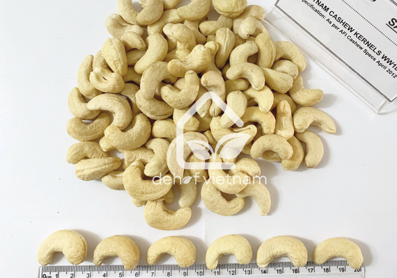 Vietnam Cashew Nuts - WW180