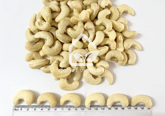 Vietnam Cashew Nuts - WW180