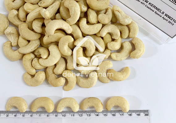 Vietnam Cashew Nuts - WW210