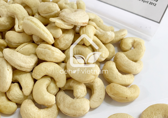 Vietnam Cashew Nuts - WW210