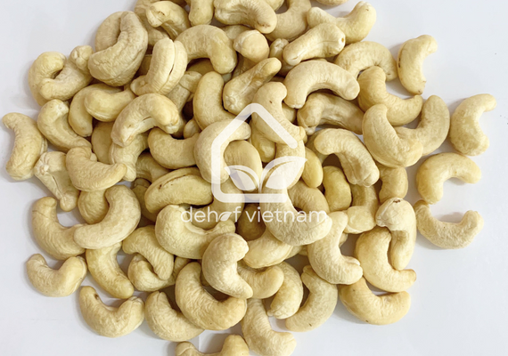 Vietnam Cashew Nuts - WW210