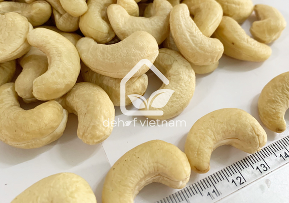 Vietnam Cashew Nuts - WW210