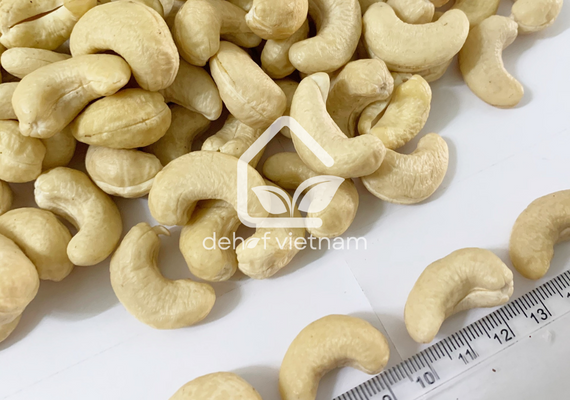 Vietnam Cashew Nuts - WW240