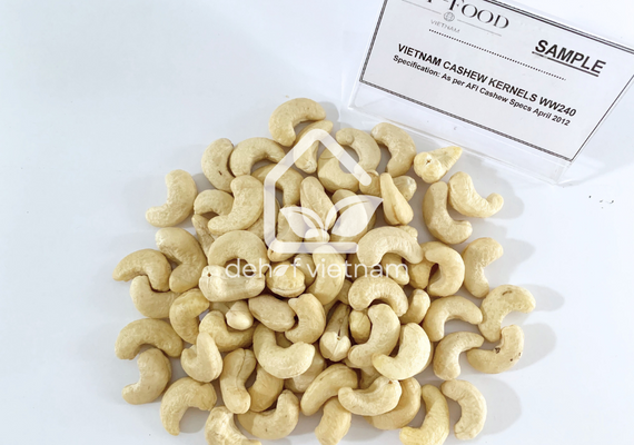 Vietnam Cashew Nuts - WW240