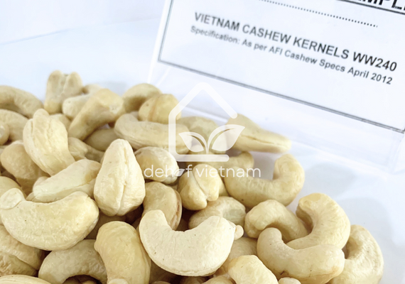 Vietnam Cashew Nuts - WW240