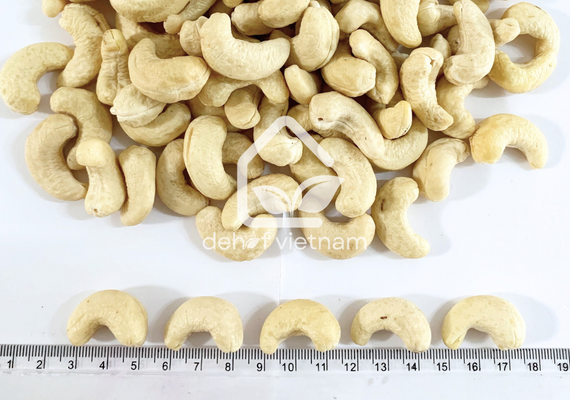 Vietnam Cashew Nuts - WW240