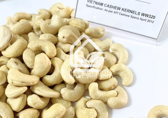 Vietnam Cashew Nuts - WW320