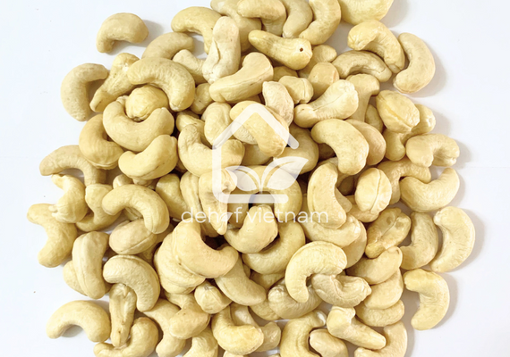 Vietnam Cashew Nuts - WW320