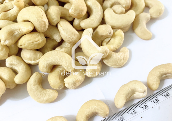 Vietnam Cashew Nuts - WW320