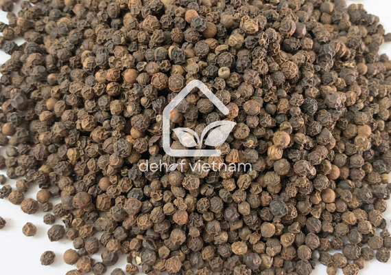 Vietnam Black Pepper - 570g/l ASTA