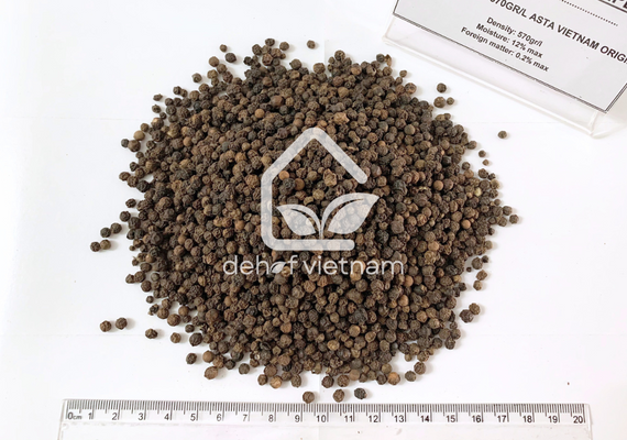 Vietnam Black Pepper - 570g/l ASTA