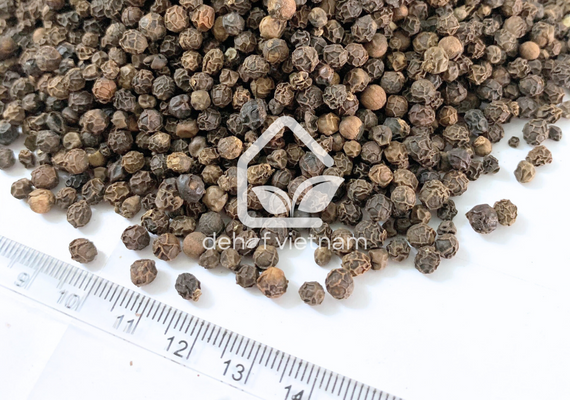 Vietnam Black Pepper - 570g/l ASTA