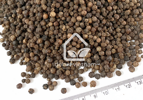 Vietnam Black Pepper - 5MM (Big Seed)