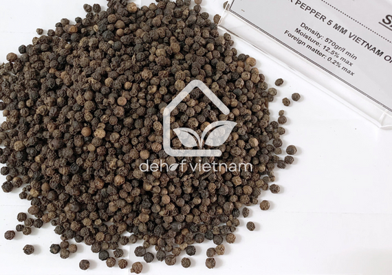 Vietnam Black Pepper - 5MM (Big Seed)