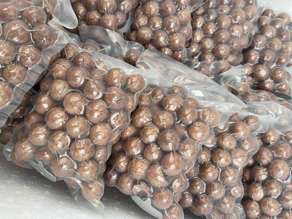 Macadamia